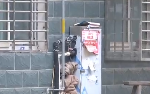 自來水管道保溫電伴熱帶，冬季管道防凍新寵(圖2)